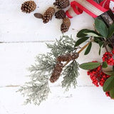 Snow Covered Pine Pick with Lifelike Brown Pine Cones | 20-Inch | Festive Christmas Florals | Holiday Accents | Home & Office Decor (Set of 6)