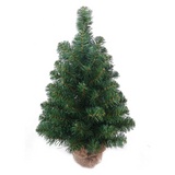 15ft Northern Spruce Tree w/ 5872 Tips