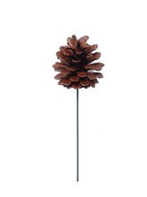 Lacquered Brown Pine Cone Picks | 2.5" Wide | Holiday Xmas Accents | Trees, Wreaths, & Garlands | Christmas Picks | Home & Office Decor (Set of 12)