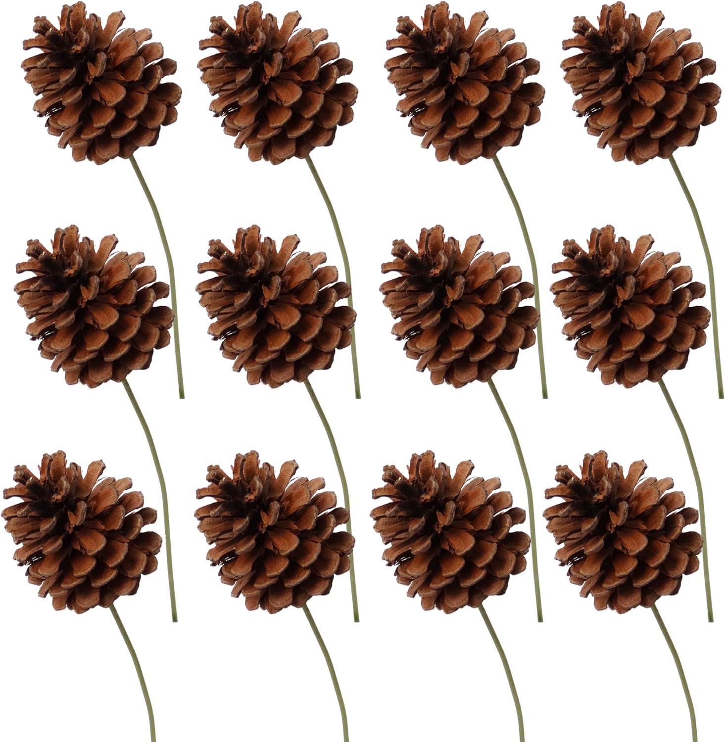 Lacquered Natural Brown Pine Cone Picks | 2.5" Wide | Holiday Xmas Accents | Trees, Wreaths, & Garlands | Christmas Picks | Party & Event | Home & Office Decor (Set of 12)