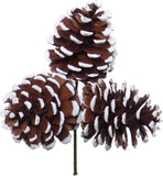 Natural White Tipped Pine Cone Picks | 2.5" Wide | Holiday Xmas Accents | Trees, Wreaths, & Garlands | Christmas Picks | Home & Office Decor (Set of 3)
