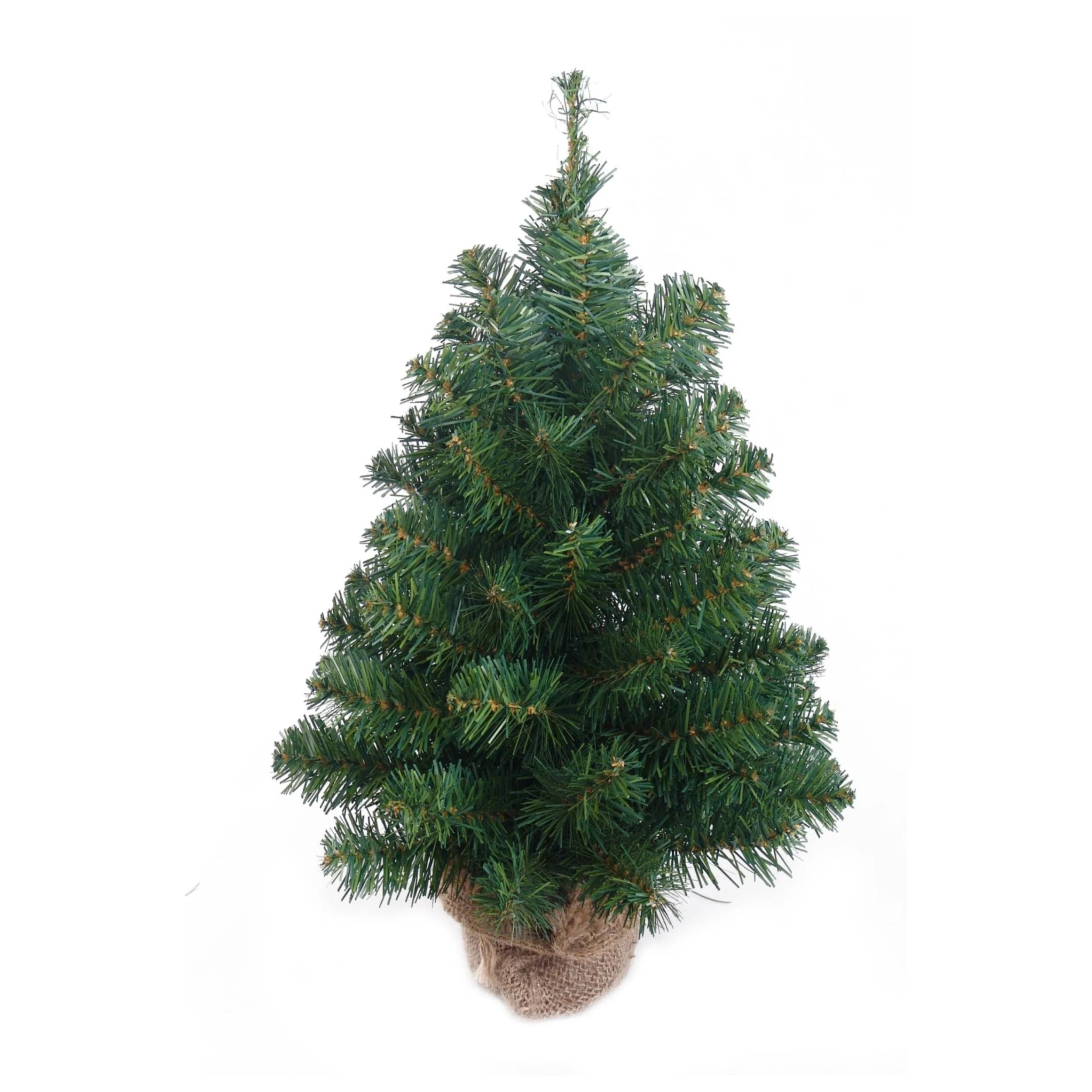 18" Northern Spruce Tree in Burlap - 63 Green Tips