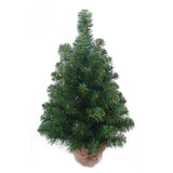 24" Northern Spruce Tree in Burlap - 81 Lifelike Tips (Set of 12)