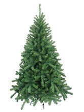 Northern Spruce Tree with 985 Lifelike Green Tips | 6.5-Foot | Indoor/Outdoor Use | Holiday Xmas Accents | Christmas Trees | Home & Office Decor