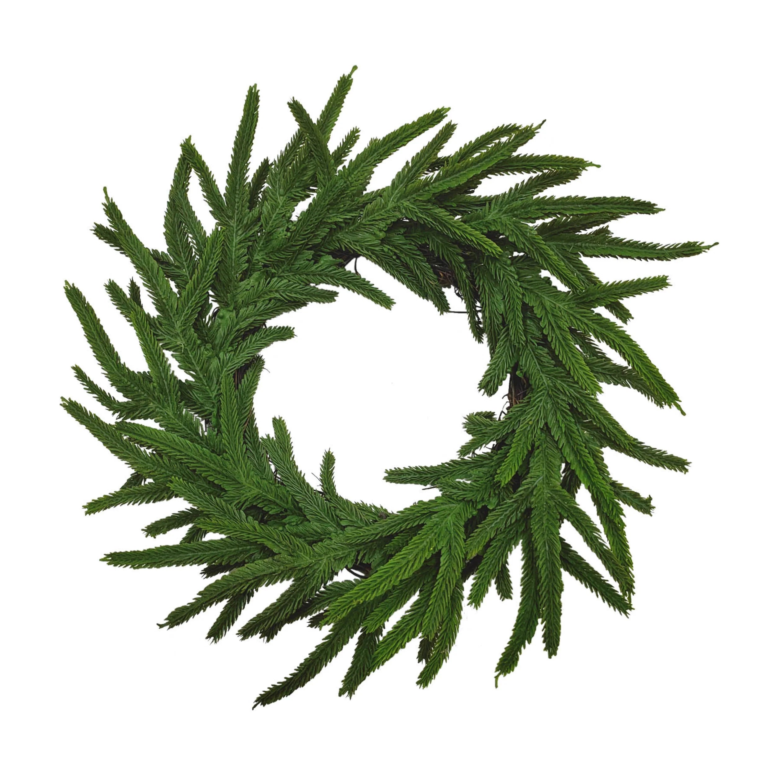 Norfolk Pine Wreath - 14" Wide - Lifelike Tips (Set of 4)