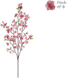 Dark Pink Japanese Cherry Blossoms