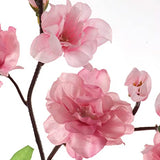 Dark Pink Japanese Cherry Blossoms