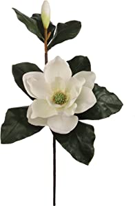 27 Inch Silk Magnolia
