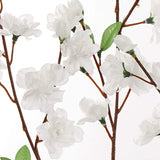 White Cherry Blossom Flowers