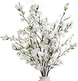 Christmas White Cherry Blossom Flowers